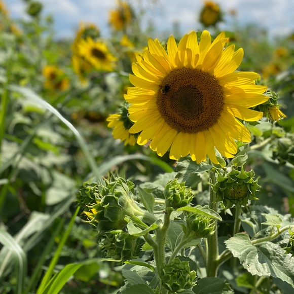 Meet your Posher, Mallory - Picture 1 of 1